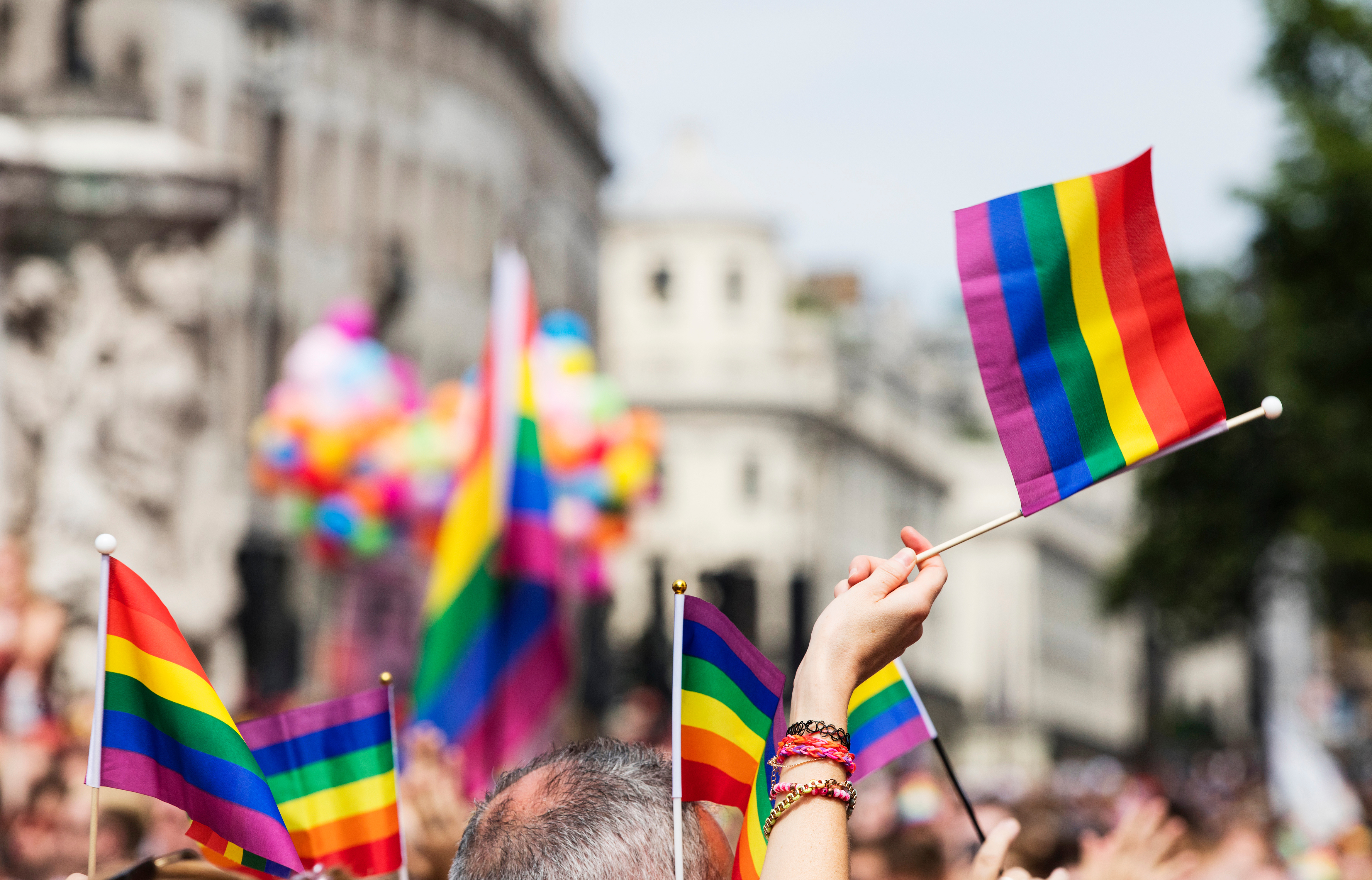 Pride flags