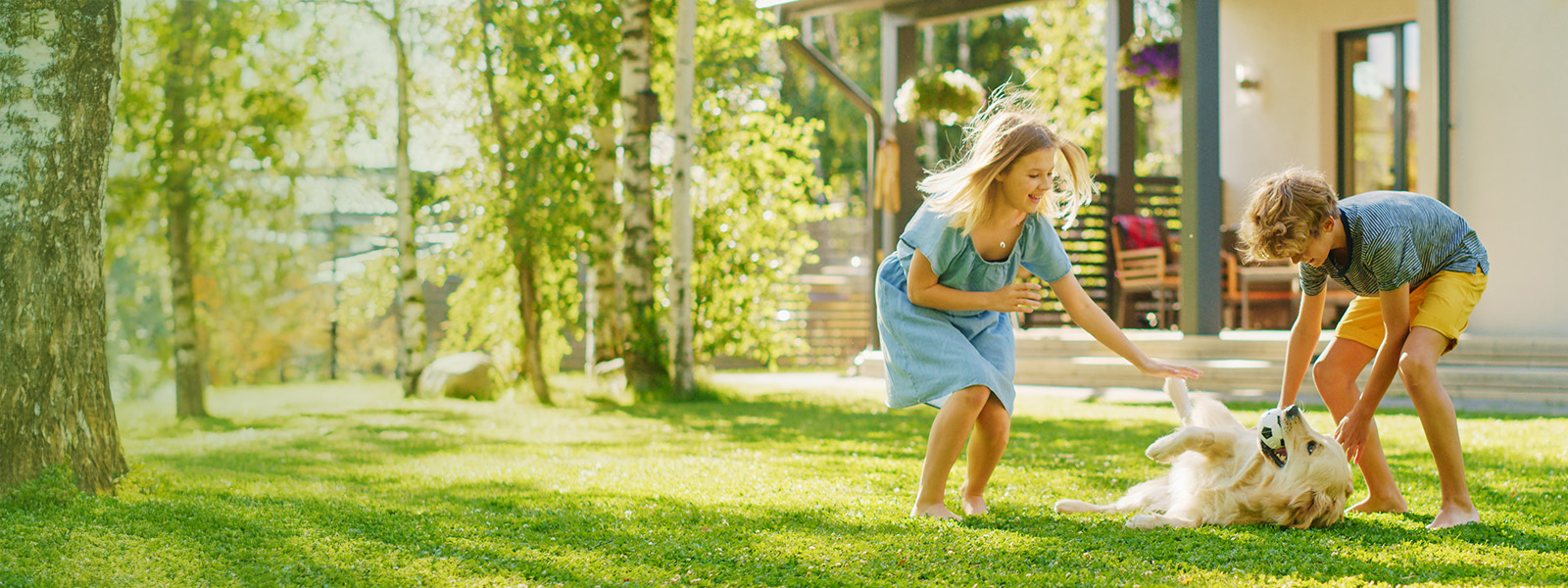 Kids playing with dog outside